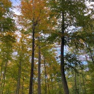 Meet your Posher, Vincent